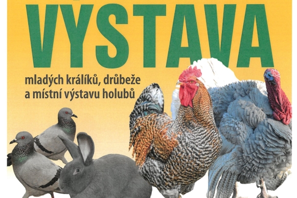 Český svaz chovatelů Branišovice - Okresní výstava mladých králíků, drůbeže a holubů